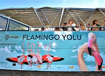 Doğaseverler Flamingo Festivali’nde Buluşacak